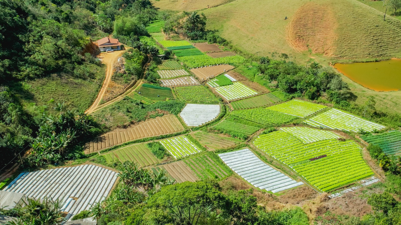 Leia mais sobre o artigo Agricultura: nova secretaria será focada nas demandas do homem do campo