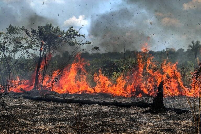 Idaf reforça ações de combate a queimadas ilegais em período de estiagem